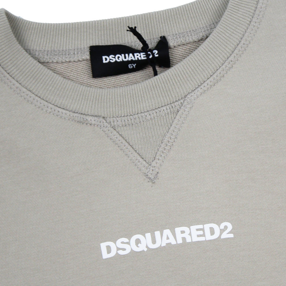 Dsquared2 Feather Grey Sweatshirt